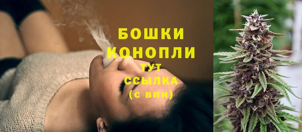 эйфоретик Новозыбков