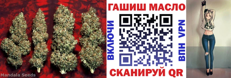 Дистиллят ТГК Wax  купить закладку  Аша 