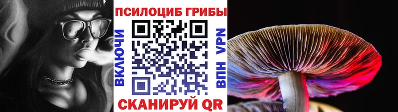 блэк спрут ссылка  Аша  Псилоцибиновые грибы мухоморы  наркотики 