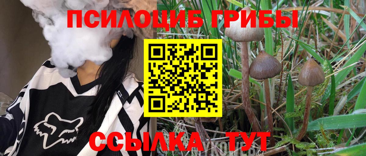 как найти наркотики  Аша  Галлюциногенные грибы ЛСД 