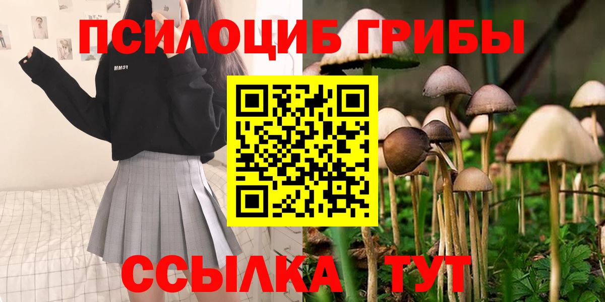 Псилоцибиновые грибы Psilocybe Аша